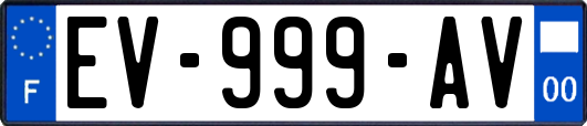 EV-999-AV