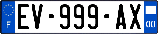 EV-999-AX