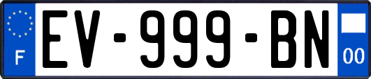 EV-999-BN