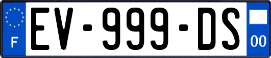 EV-999-DS