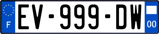 EV-999-DW