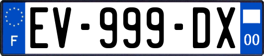 EV-999-DX