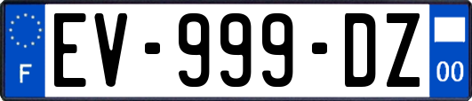 EV-999-DZ