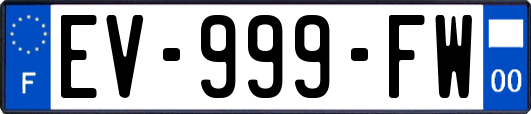 EV-999-FW