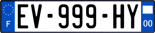 EV-999-HY