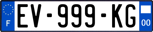 EV-999-KG
