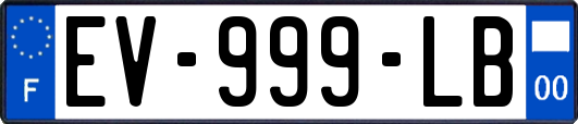 EV-999-LB