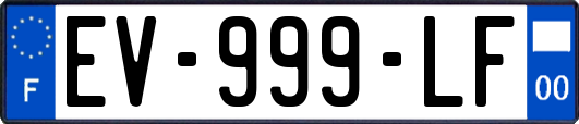 EV-999-LF