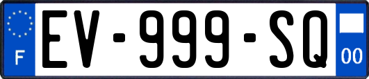 EV-999-SQ