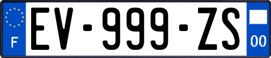 EV-999-ZS