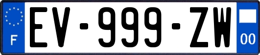 EV-999-ZW