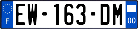 EW-163-DM