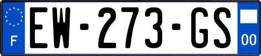 EW-273-GS