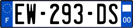 EW-293-DS