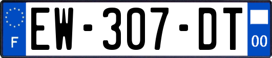 EW-307-DT