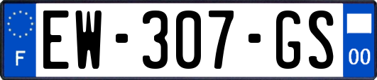 EW-307-GS
