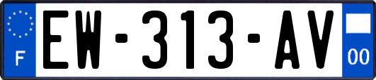 EW-313-AV