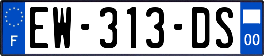 EW-313-DS