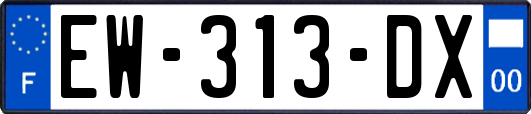 EW-313-DX