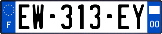 EW-313-EY