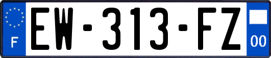 EW-313-FZ
