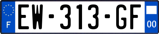 EW-313-GF