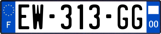 EW-313-GG