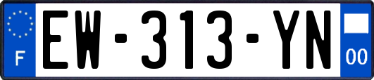 EW-313-YN
