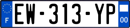 EW-313-YP