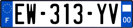 EW-313-YV