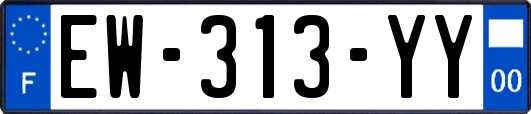 EW-313-YY