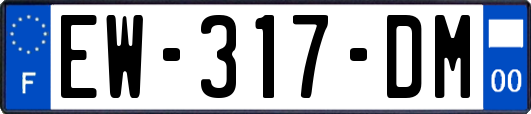 EW-317-DM