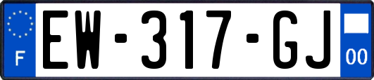 EW-317-GJ