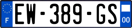 EW-389-GS