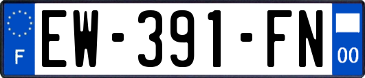 EW-391-FN