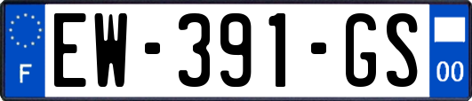EW-391-GS