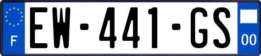 EW-441-GS