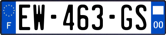 EW-463-GS