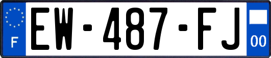 EW-487-FJ