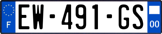EW-491-GS