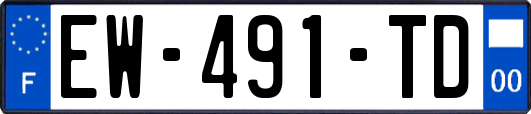 EW-491-TD