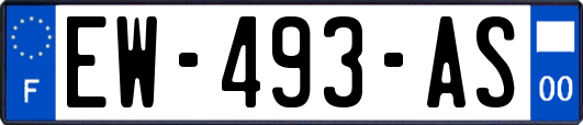 EW-493-AS