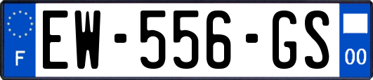 EW-556-GS