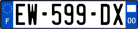 EW-599-DX