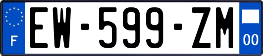 EW-599-ZM
