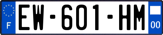 EW-601-HM