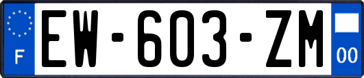 EW-603-ZM
