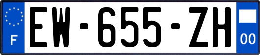EW-655-ZH