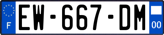 EW-667-DM