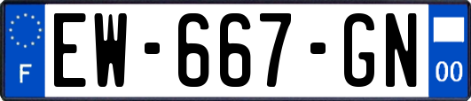 EW-667-GN